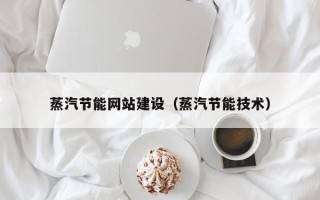凤城蒸汽节能网站建设（蒸汽节能技术）